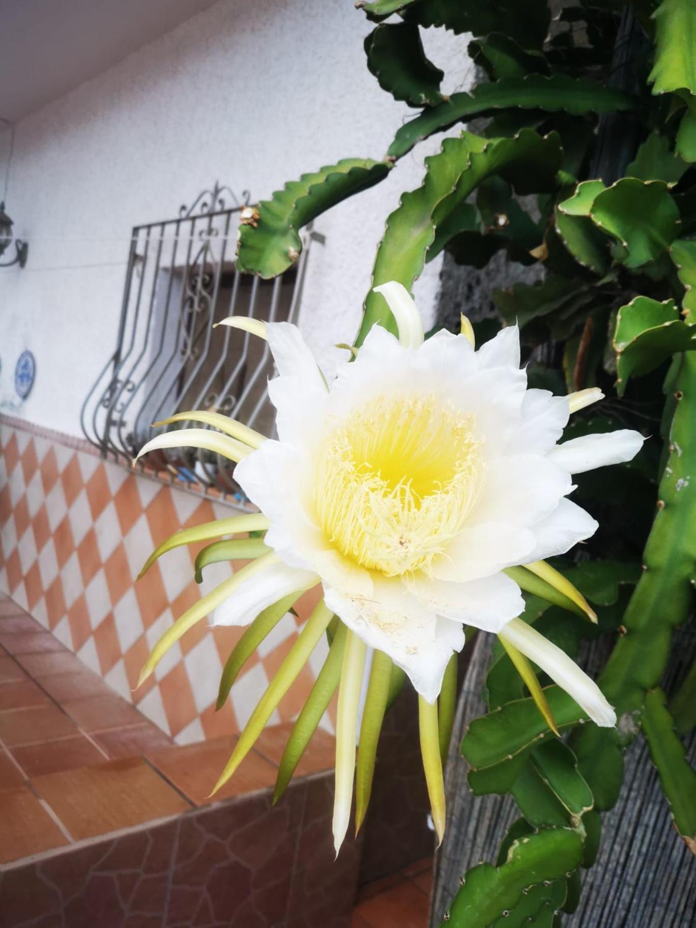 Vivienda Rural En Cabo De Gata Apartman El Pozo de los Frailes Kültér fotó