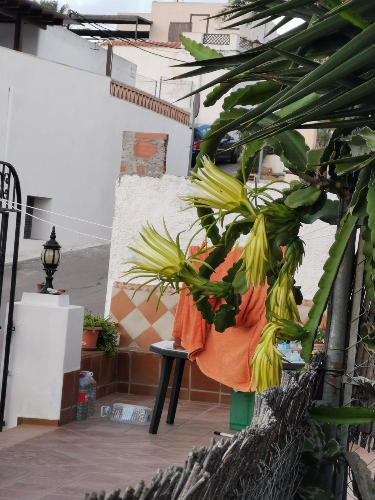Vivienda Rural En Cabo De Gata Apartman El Pozo de los Frailes Kültér fotó